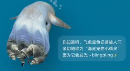 淘宝大赢家每日一猜答案6.27