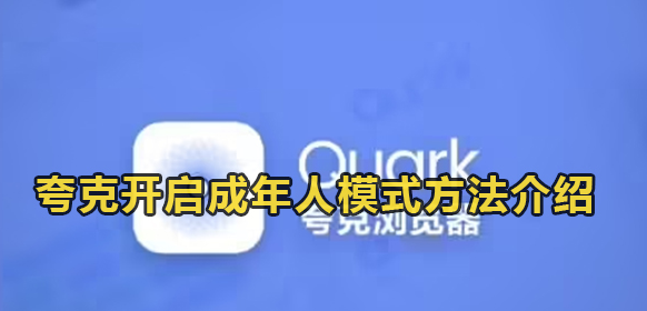 夸克浏览器网站免费进入网址2023 夸克浏览器网页版入口链接最新一览