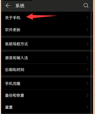 华为手机开发者选项在哪里