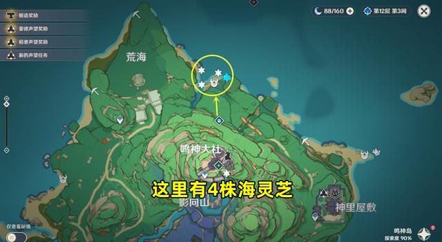 原神2.8版本海灵芝在哪里采集