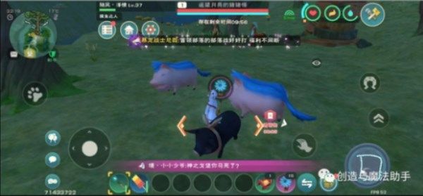 创造与魔法遥望月亮的猪猪怪怎么抓