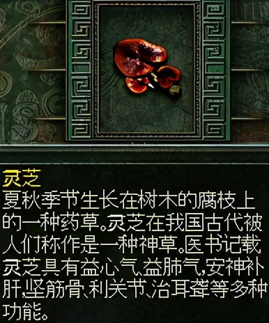 秦殇图文攻略5物品介绍