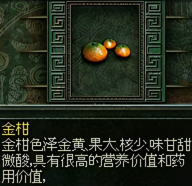 秦殇图文攻略5物品介绍