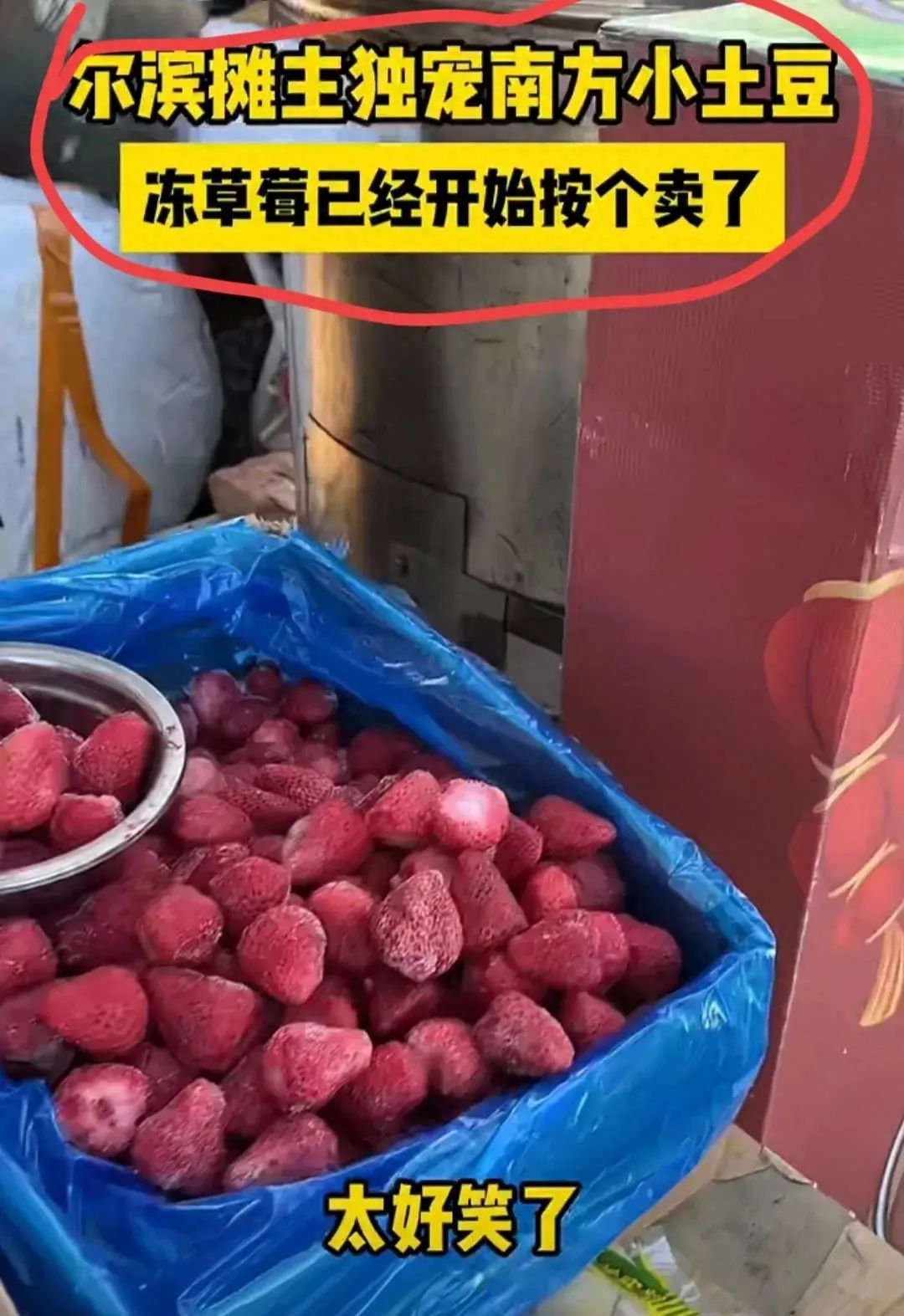 哈尔滨冻草莓都开始按个卖了 网友：销售方式更加灵活，也更加方便
