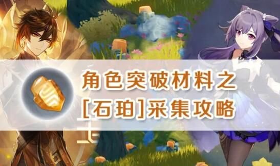 吃机超霸《原神》秘籍石珀采集位置尊龙凯时全新攻略解读