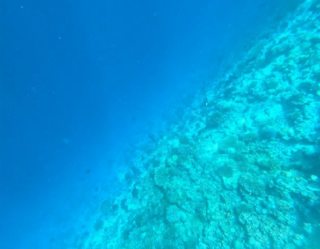 断崖式水位什么意思 断崖式水位图片一览