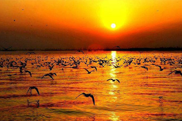 宁夏十大必游景点