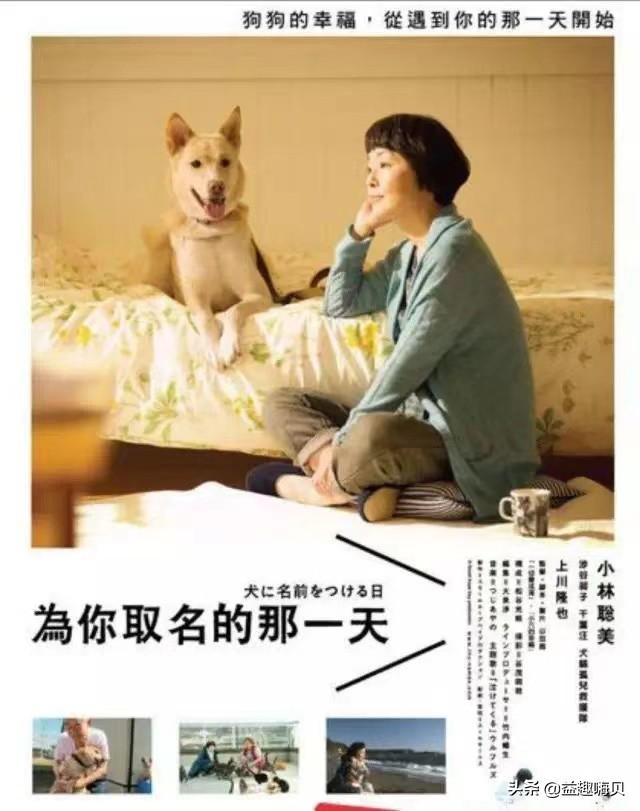 十大经典狗狗电影排行