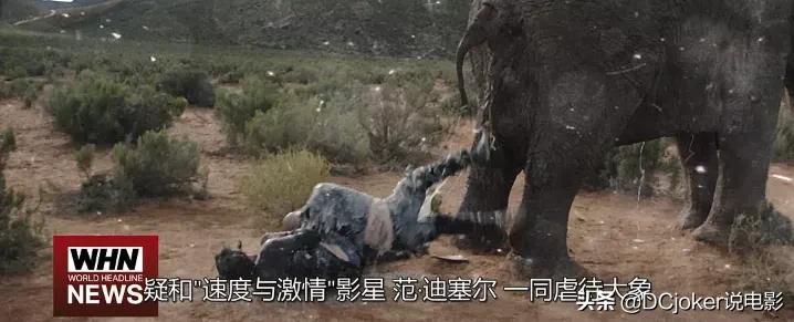 十部巅峰喜剧电影