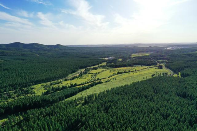 8月中国9个最佳旅游胜地，塞罕坝荣登榜首 