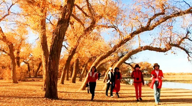 十月份最适合去哪里旅游？10月不得不去的11个旅行地 