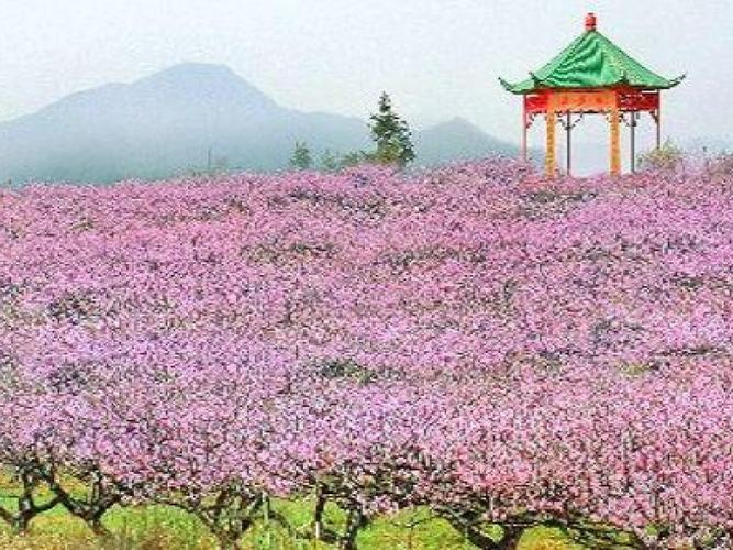 永修有什么旅游景点