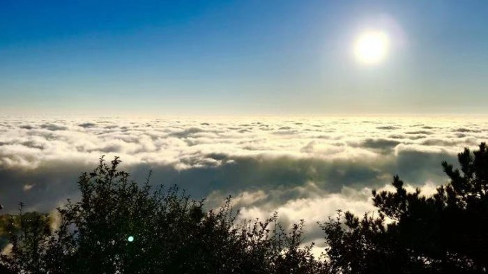 岳阳旅游必去十大景点
