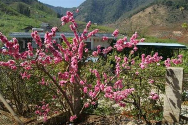 攀枝花有什么好玩的景点