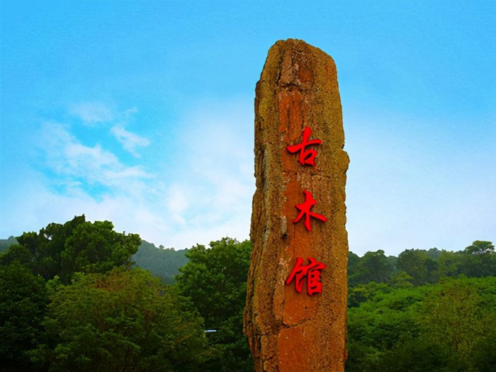 湖州一日游去哪里比较好
