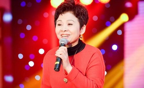 董文华个人资料,董文华近况