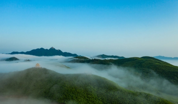 益阳十大旅游景点