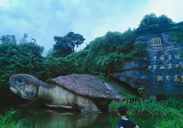 湛江十大旅游攻略必去景点
