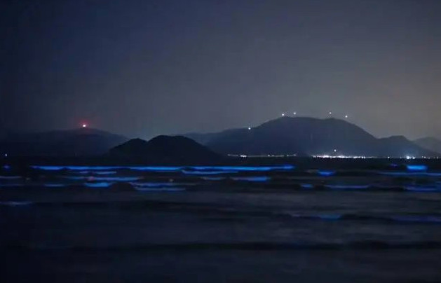 珠海一沙滩出现蓝眼泪奇观
