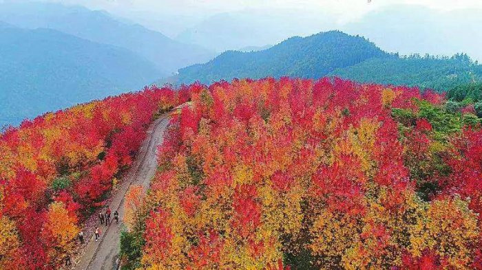 德阳旅游十大必看景点
