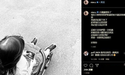 热狗女友宣布怀二胎,热狗女友郑年均流产