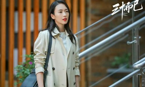 童瑶暗示顾佳不会复婚,三十而已顾佳复婚了吗