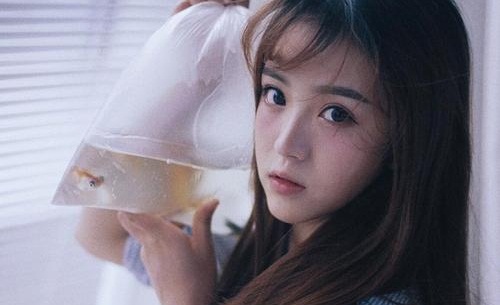田曦薇是哪个公司的,田曦薇个人资料