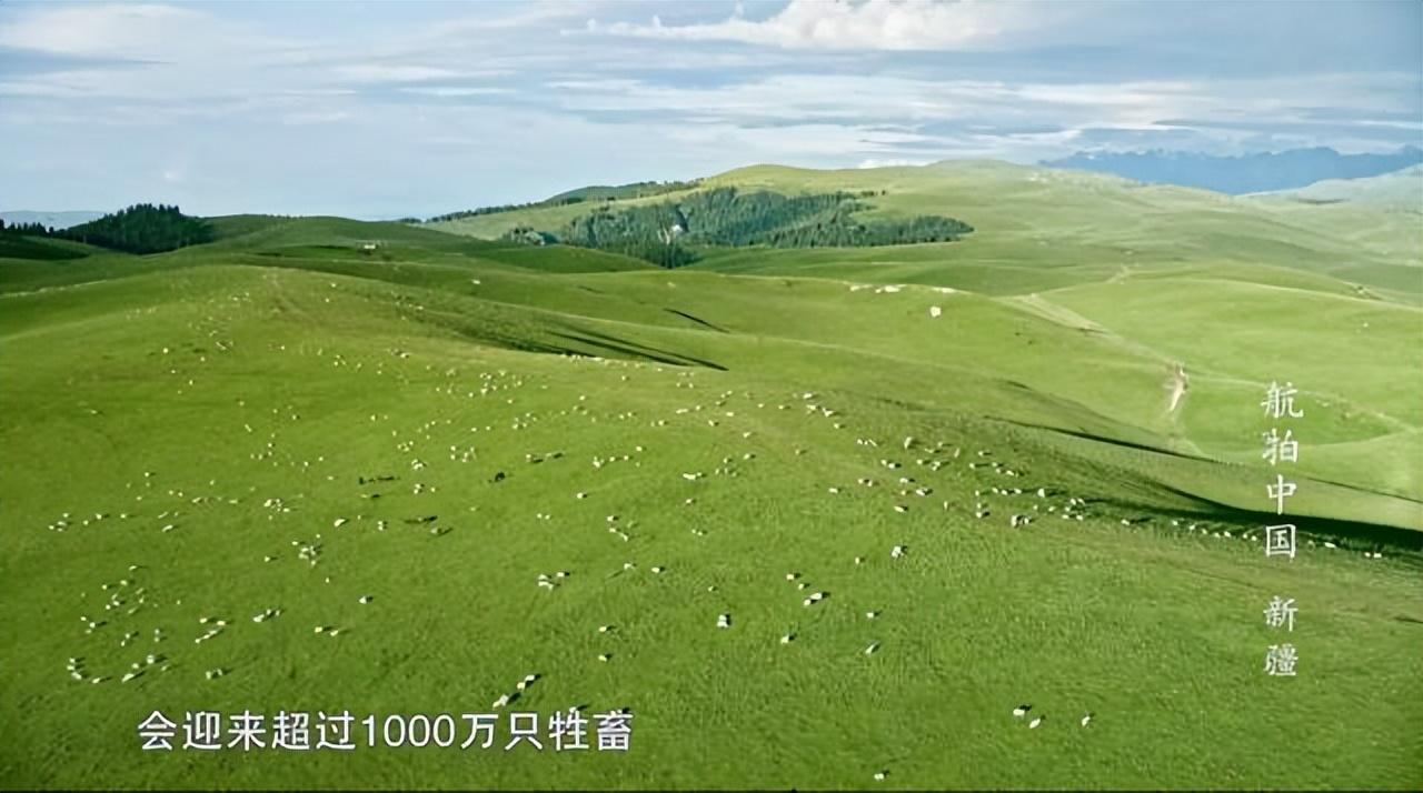 央视十大优秀纪录片