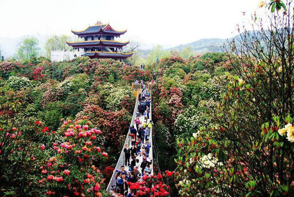 贵州有哪些著名旅游景点