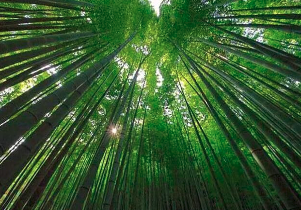 贵州遵义旅游十大景点排名