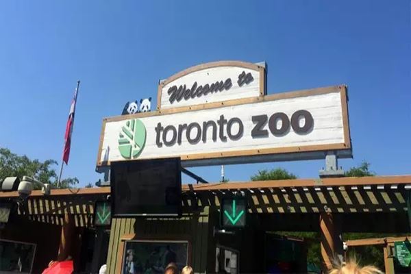 世界十大最佳动物园