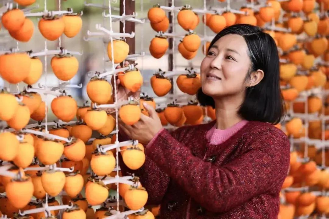 又穷又苦的农村电视剧大全