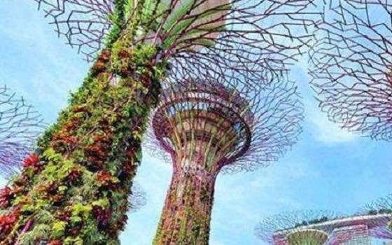 新加坡有哪些旅游景点值得推荐