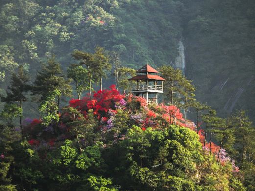 安庆旅游景点排名榜前十名
