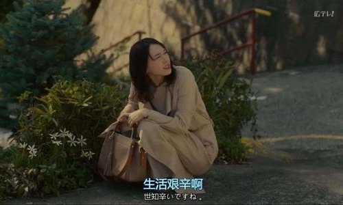 社畜青年和斜杠青年是什么意思 网络用语梗的出处和内涵介绍