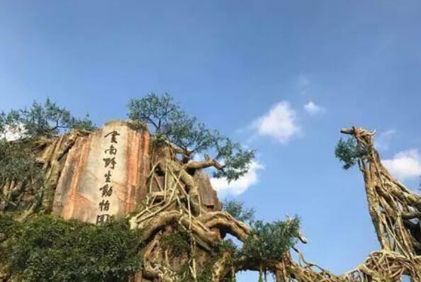 昆明必玩景点有哪些
