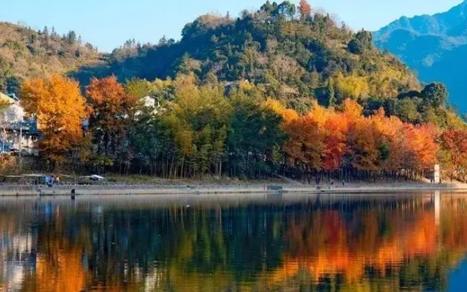 温州市十大秋季旅游景点，温州赏秋最佳去处 