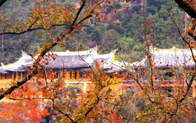 温州市十大秋季旅游景点