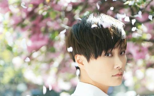 李宇春超女哪一届,李宇春个人资料