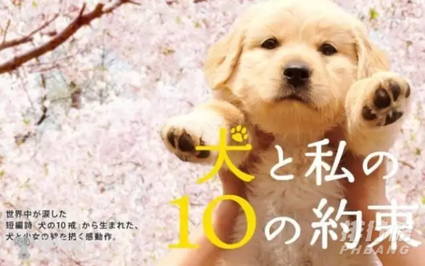 日本治愈电影豆瓣高分(日本温暖治愈系的电影）