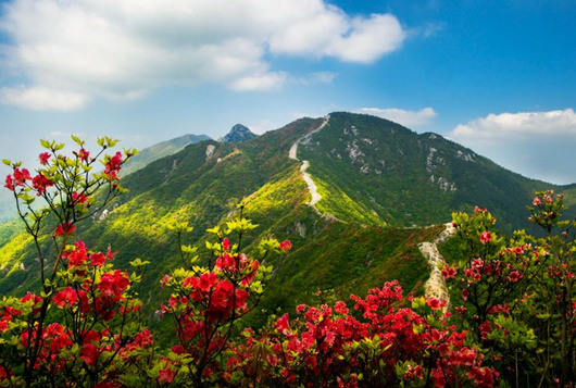 修水县有哪些好玩的旅游景点