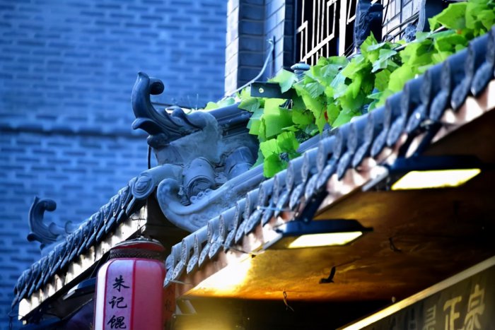 洛阳有什么好玩的景点
