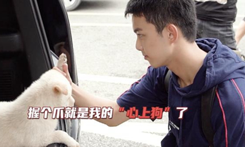 吴磊片场,吴磊收养流浪狗