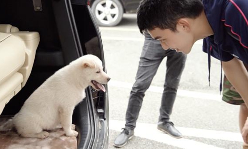吴磊片场,吴磊收养流浪狗