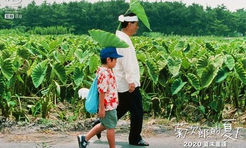 菊次郎的夏天确认引进,菊次郎的夏天剧情简介解