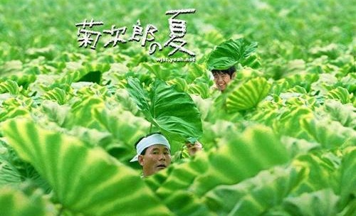 豆瓣高分电影菊次郎的夏天确认引进 剧情简介解析上映时间介绍