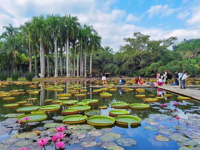 云南十大最美旅游景点