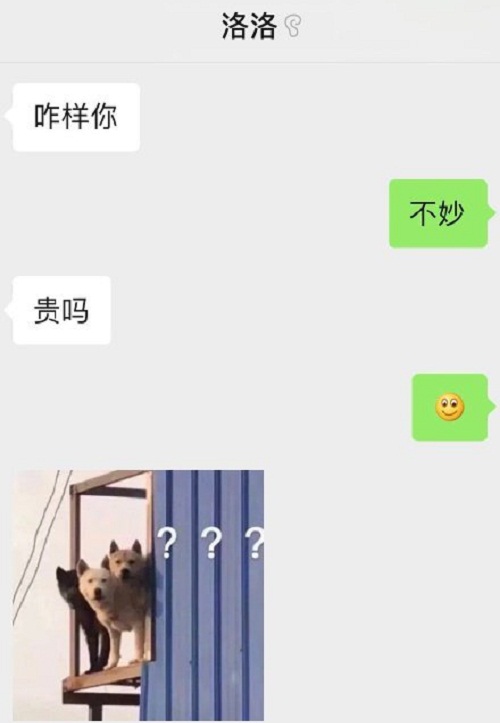 周震南微博,周震南不是所有的猫都温顺,周震南被