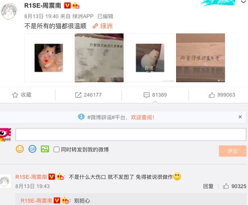 周震南微博,周震南不是所有的猫都温顺,周震南被