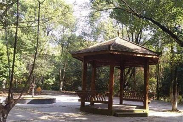 鹰潭旅游必去十大景点
